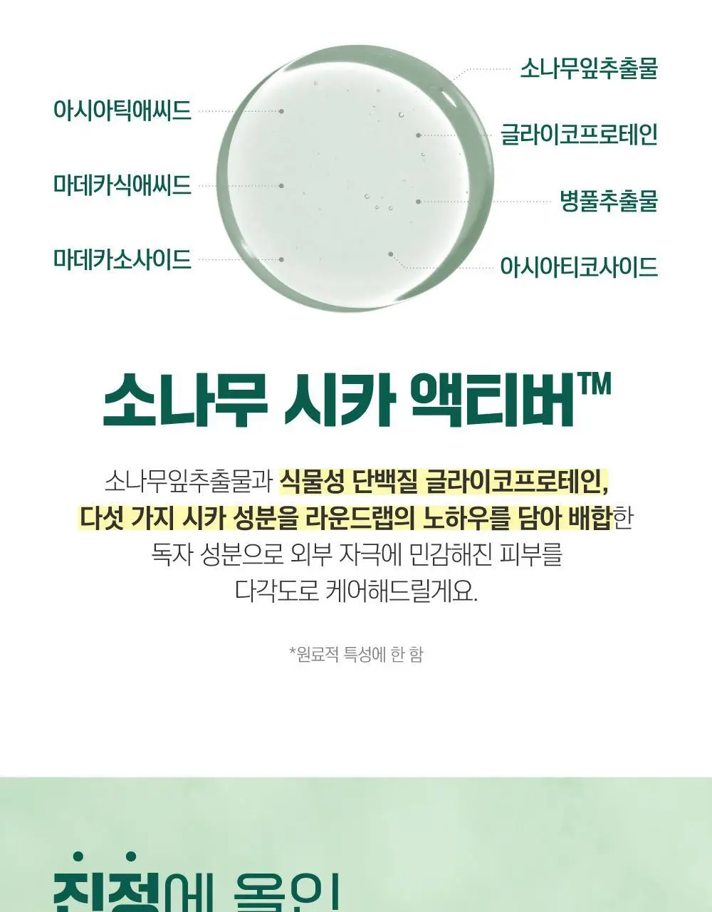 [민감진정] 라운드랩 포 맨 소나무 진정 시카 토너 200ml 상세페이지 6
